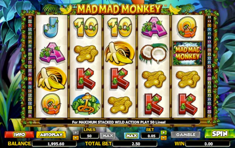 mad-mad-monkey-slot-features.png
