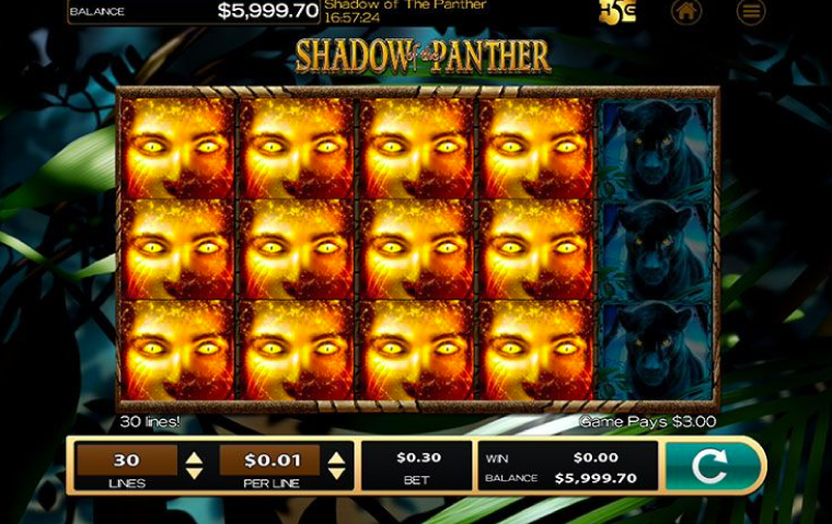 shadow-of-the-panther-slot-gameplay.png