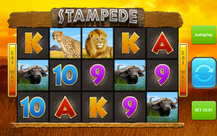 stampede-slot-features.png